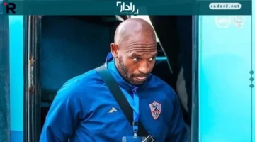 مواجهات خيرية.. شيكابالا يدعو لمباريات إنسانية تجمع الأهلي والزمالك قريبًا